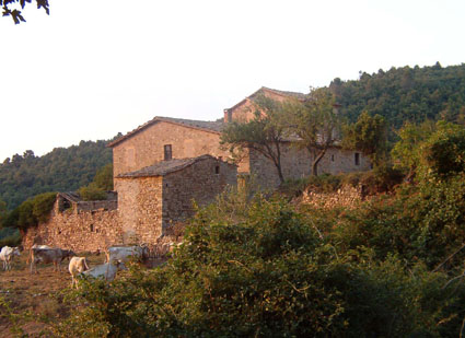 arxiu hist&ograve;ric Moi&agrave;